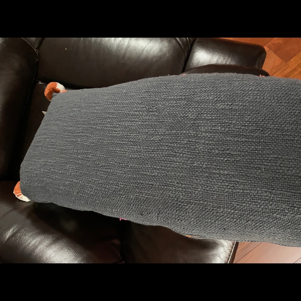 Anthropologie Heradia Throw Pillow - Picture 12 of 15